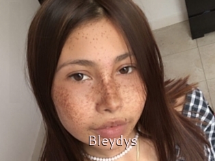 Bleydys