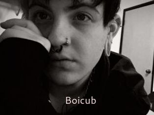 Boicub