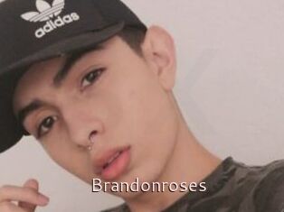 Brandonroses