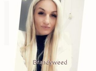 Brandyweed