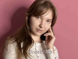 Breebrach