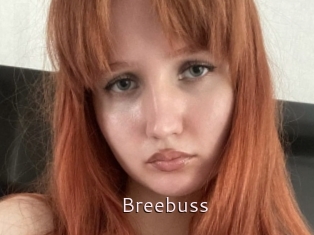 Breebuss