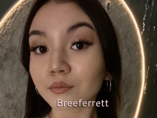 Breeferrett