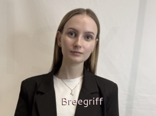 Breegriff