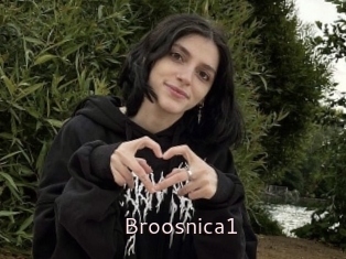 Broosnica1