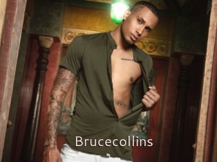 Brucecollins