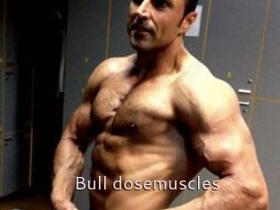 Bull_dosemuscles