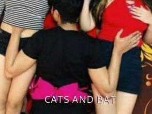 CATS_AND_BAT