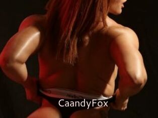 CaandyFox