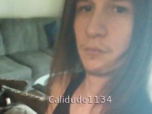 Calidude1134