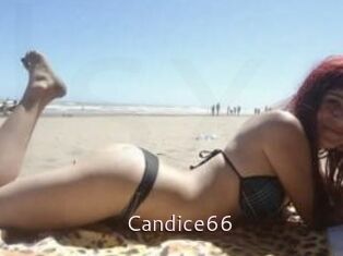 Candice66