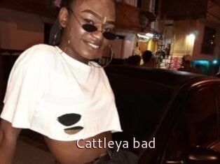 Cattleya_bad