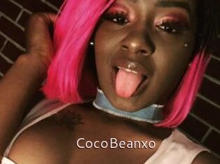 CocoBeanxo