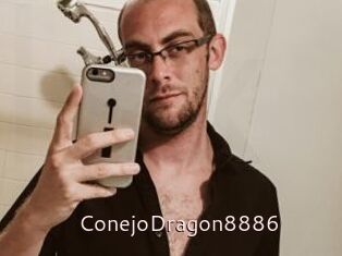 ConejoDragon8886