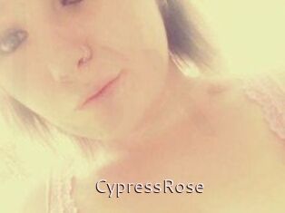 Cypress_Rose