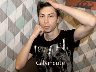 Calvincute