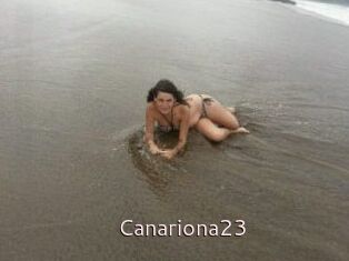 Canariona23