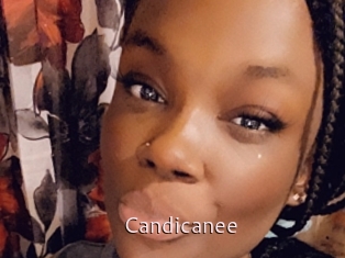 Candicanee