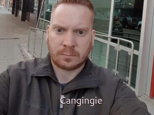 Cangingie