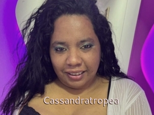 Cassandratropea