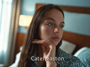 Cateheaston