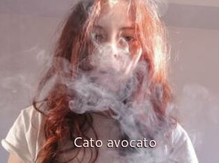 Cato_avocato