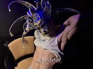 Chedder