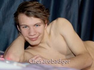 Chesarebadger