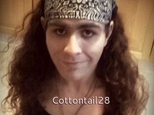 Cottontail28