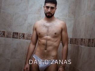 DAVID_ZANAS