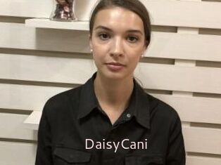 DaisyCani