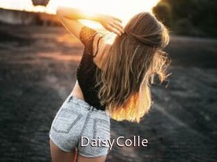 DaisyColle