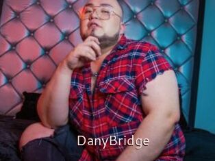 DanyBridge