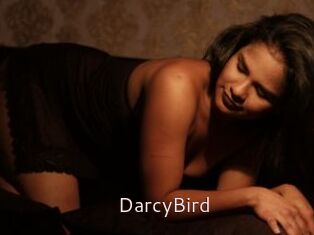 DarcyBird