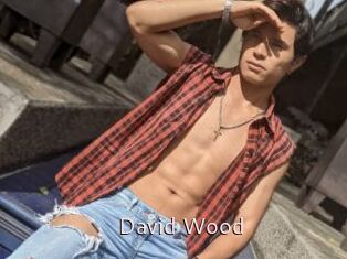 David_Wood