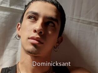 Dominicksant