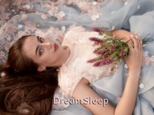 DreamSleep