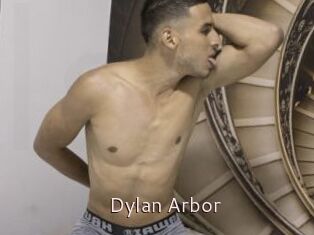 Dylan_Arbor