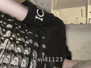 David1123