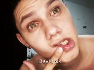 David_sk