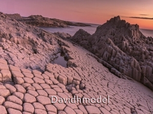 Davidhmodel