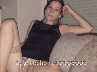 Deuxcochons