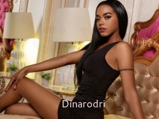 Dinarodri