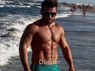 Domluc