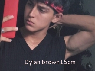 Dylan_brown15cm