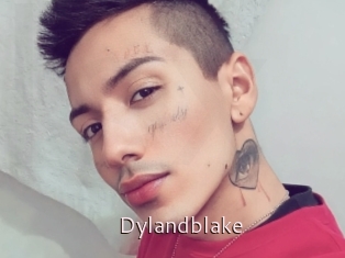 Dylandblake