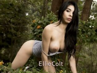 EllieColt