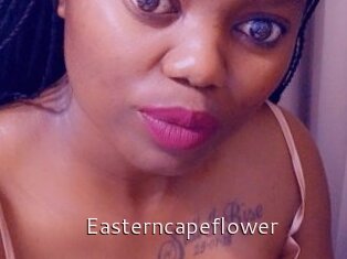 Easterncapeflower