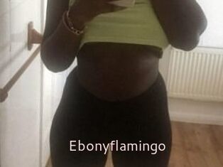 Ebony_flamingo