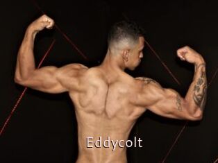 Eddycolt